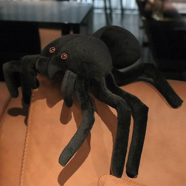 Terry the Tarantula