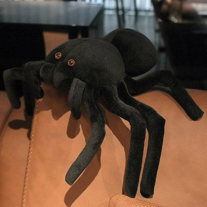 Terry the Tarantula