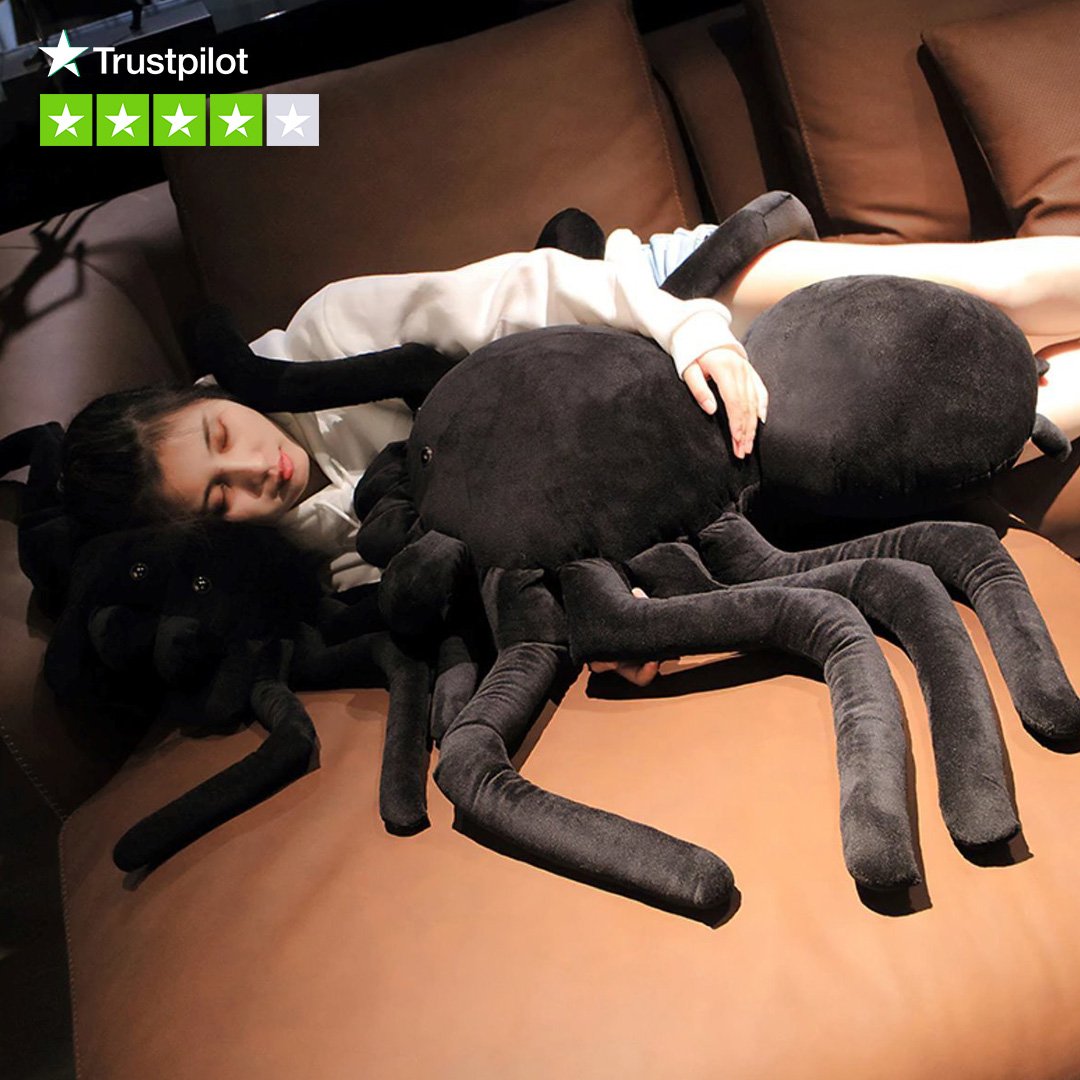 Terry the Tarantula