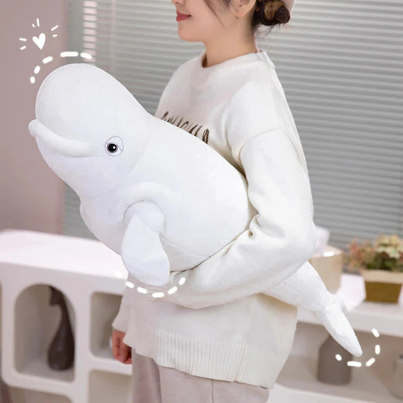 White Beluga Blue Whale Shark 75cm Plushies