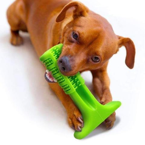 World's Most Effective Dog Toothbrush