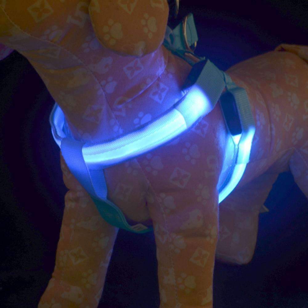 High-Quality Collar Dog - Without Any Fear of Missing Your Beloved Pet Dog!