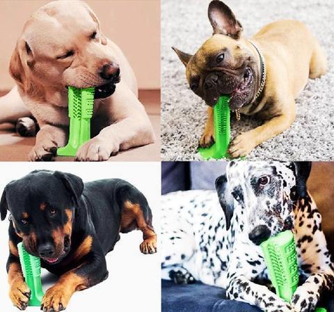 World's Most Effective Dog Toothbrush