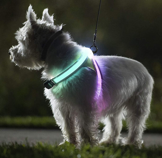 LED Dog Harness