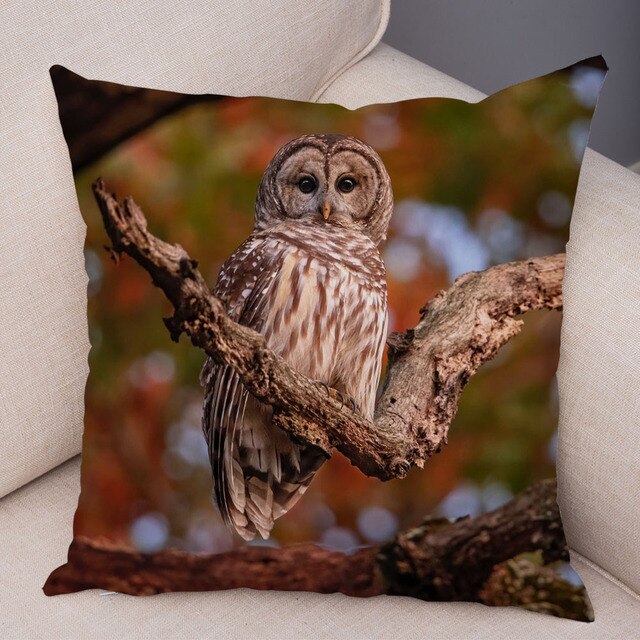 Cute Owl Pattern Pillowcase