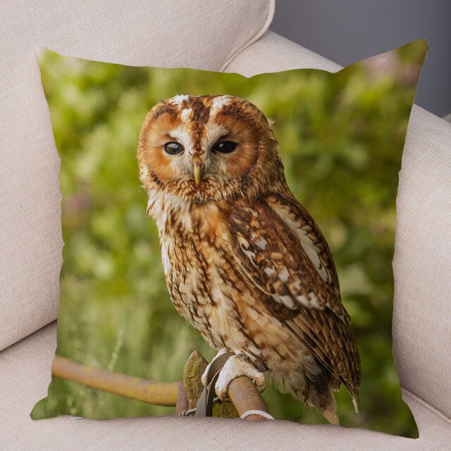 Cute Owl Pattern Pillowcase