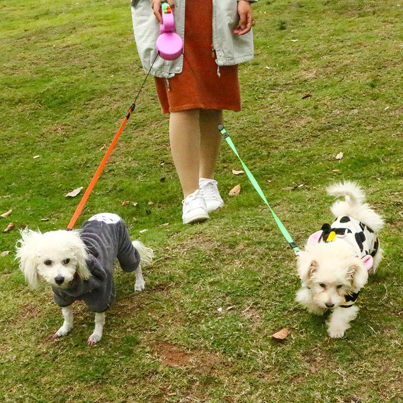 Dual Doggie Walks Leash