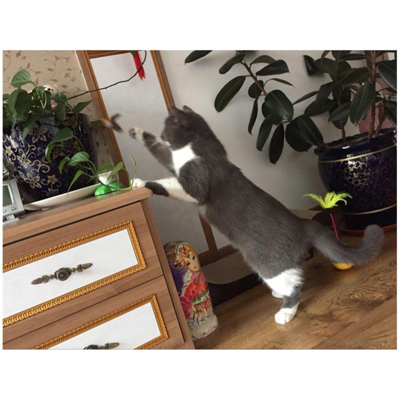 Electric Rotating Colorful Cats' Toy