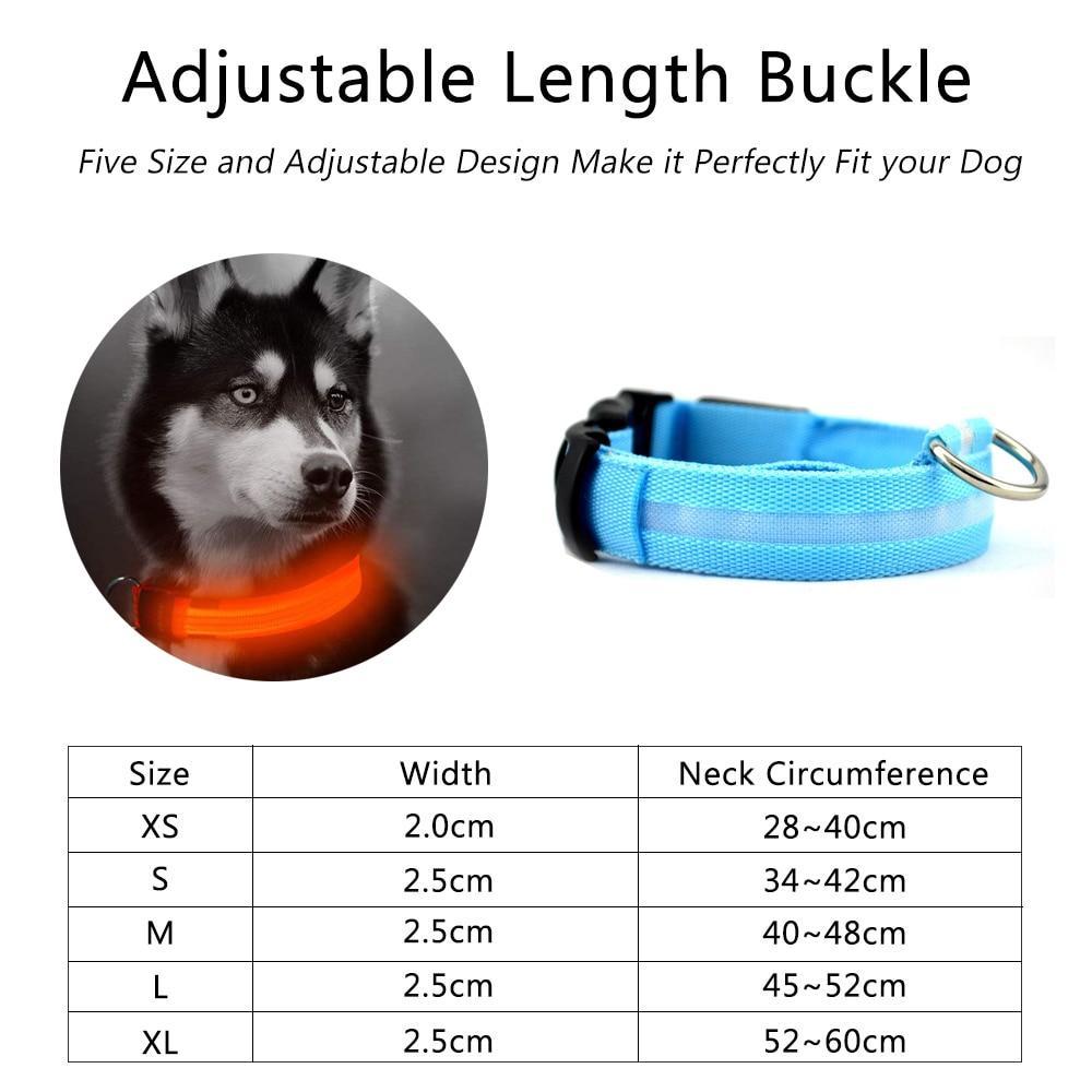 Nylon LED Pet dog Collar,Night Safety Flashing Glow In The Dark Dog Leash,Dogs Luminous Fluorescent Collars Pet Supplies