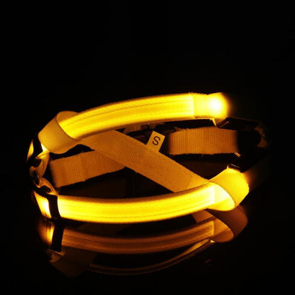 LED Dog Harness
