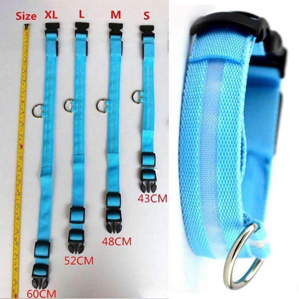 LED Pet Dog Collar