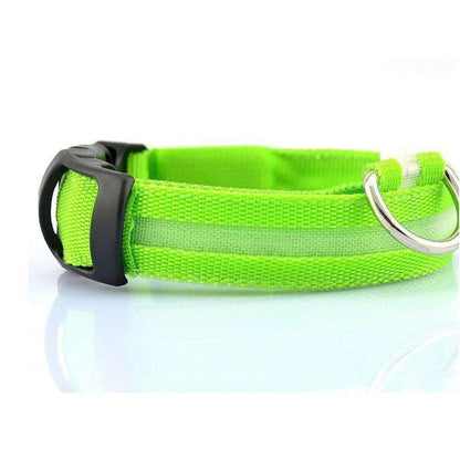 LED Pet Dog Collar