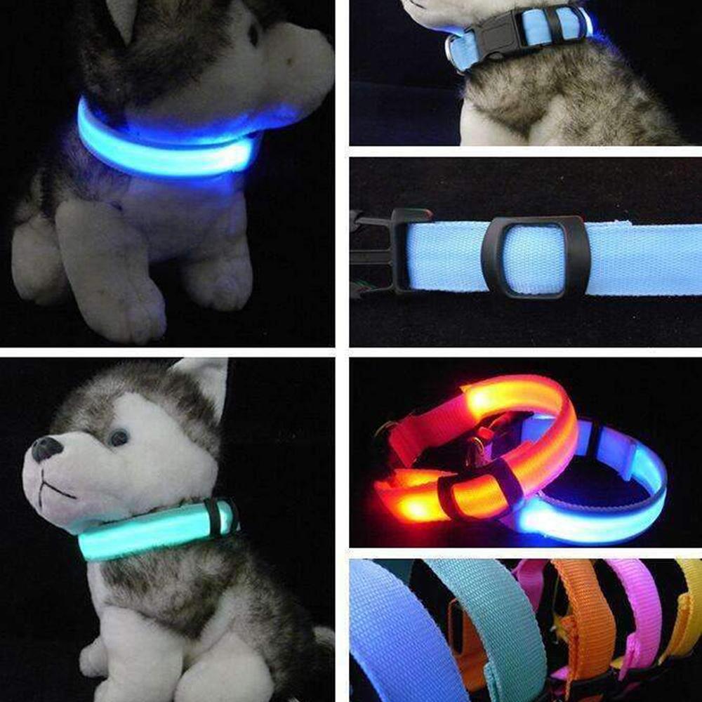 LED Pet Dog Collar