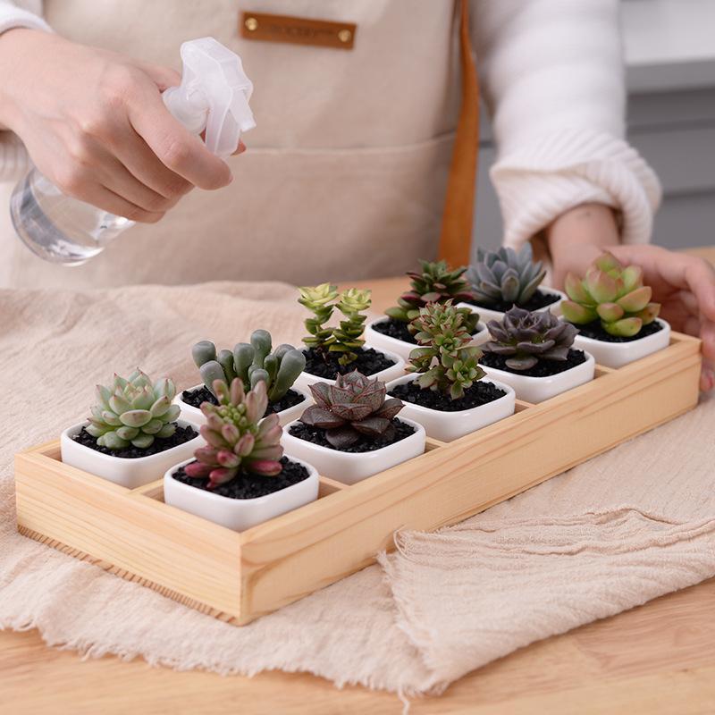 Mini Planter Tray Set