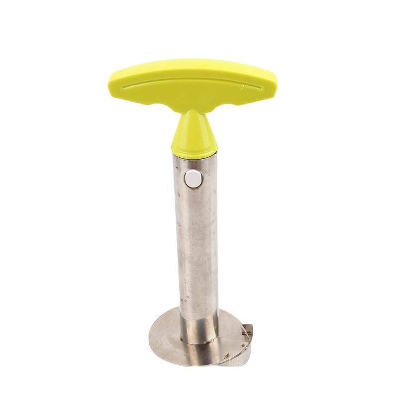 Pineapple Peeler - Slice Fruit Quickly & Easy