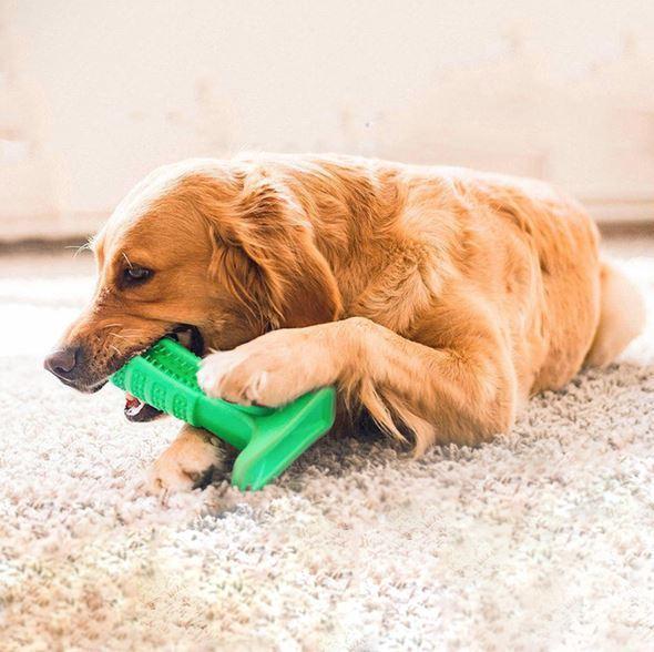 Bite n Brush Pet Toothbrush