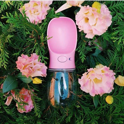 Spillproof Pet Water Bottle