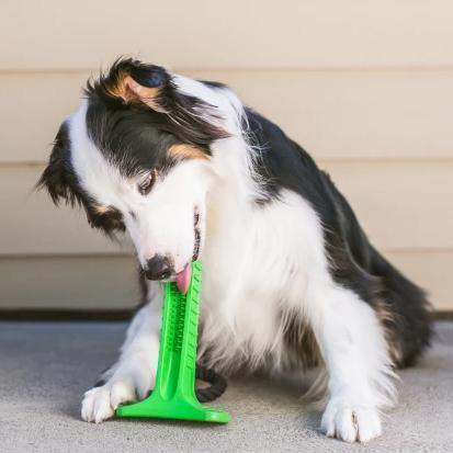Bite n Brush Pet Toothbrush