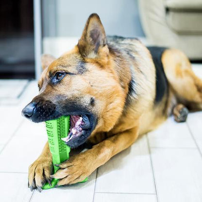 Bite n Brush Pet Toothbrush