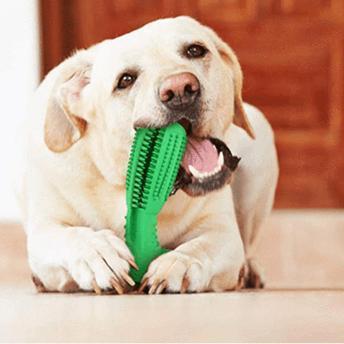 Bite n Brush Pet Toothbrush