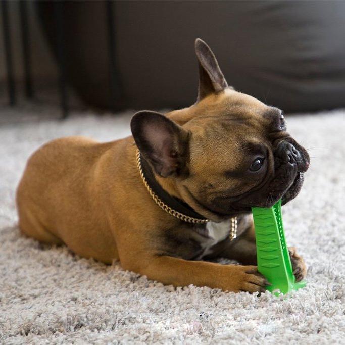 Bite n Brush Pet Toothbrush