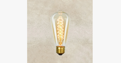 Edison Various Shapes Bulb