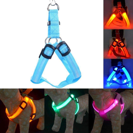 High-Quality Collar Dog - Without Any Fear of Missing Your Beloved Pet Dog!