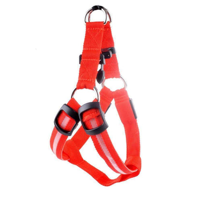High-Quality Collar Dog - Without Any Fear of Missing Your Beloved Pet Dog!