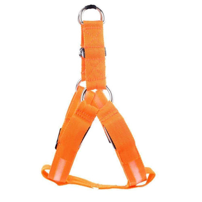 High-Quality Collar Dog - Without Any Fear of Missing Your Beloved Pet Dog!