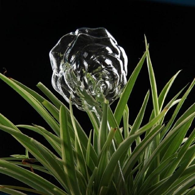 Self-Watering Plant Bulb
