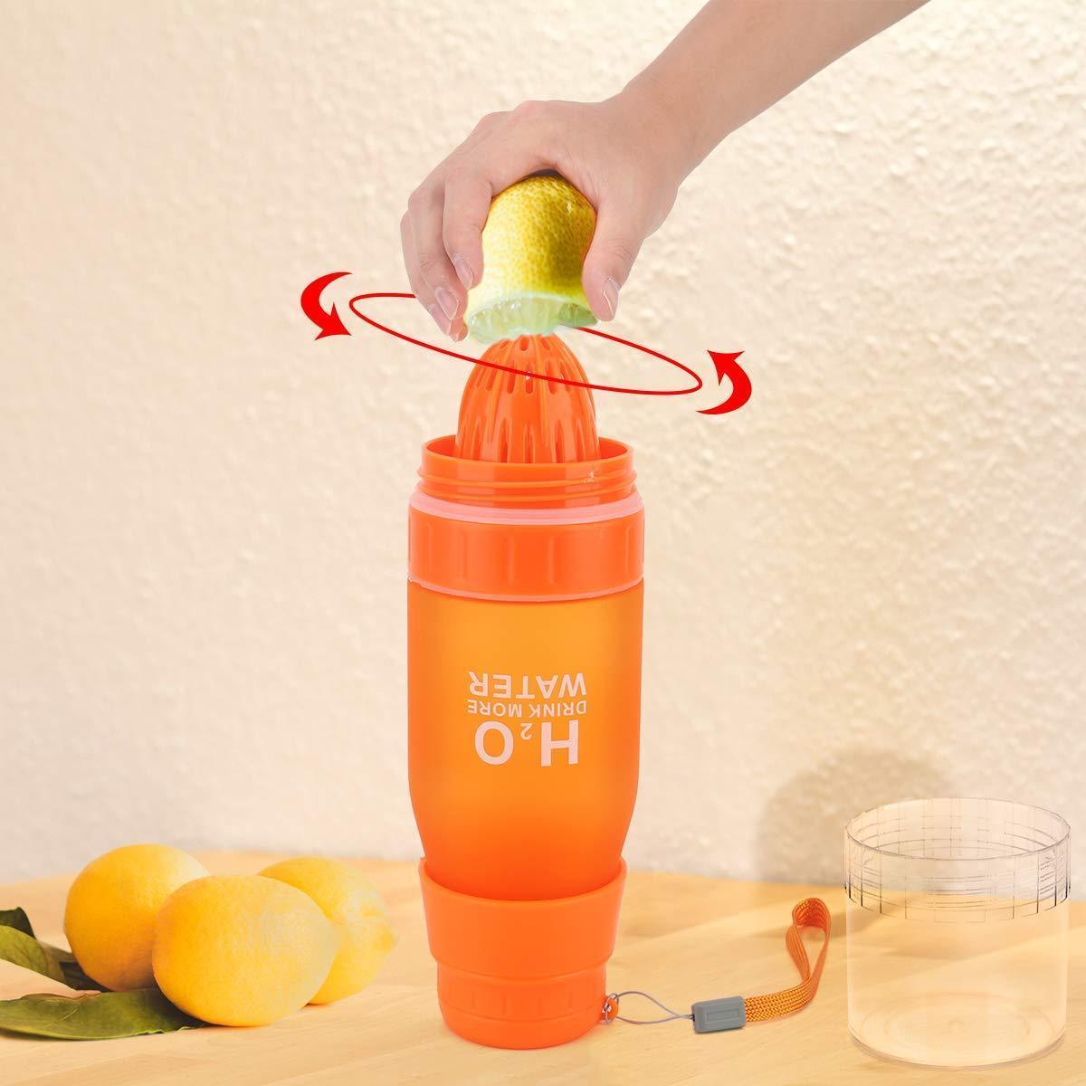 Fruit Infuser Bottle