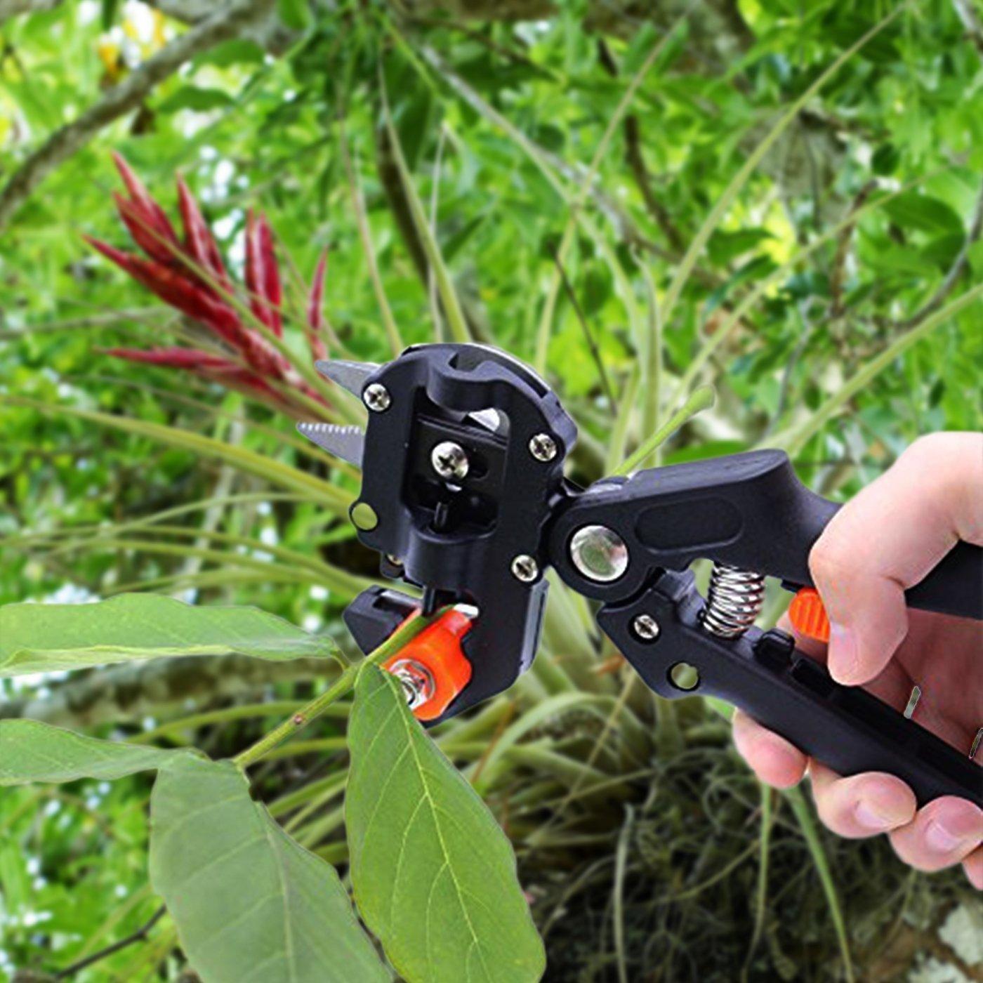 Grafting Pruning Shears