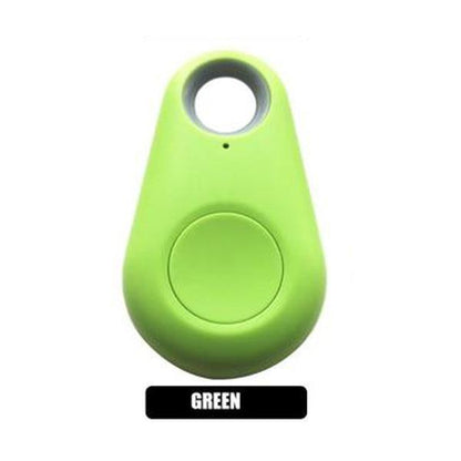 GPS Pet Tracker
