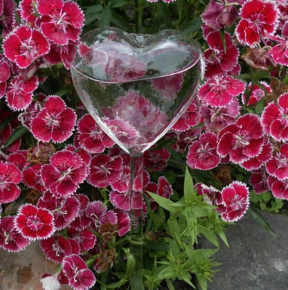 Self-Watering Plant Bulb