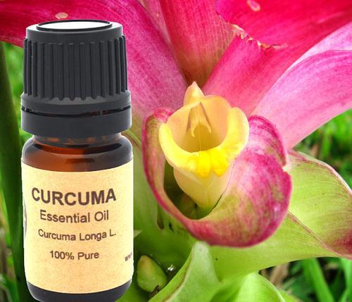 Turmeric Curcuma Essential Oil