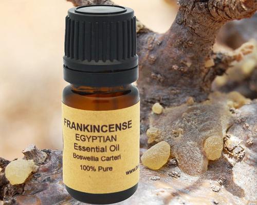 Frankincense Egyptian Essential Oil Organic