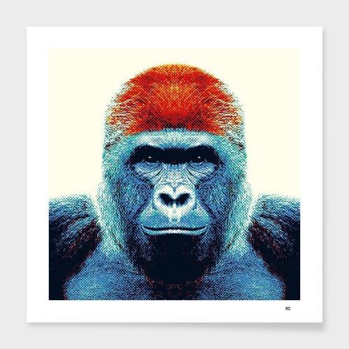 Gorilla - Colorful Animals Frame