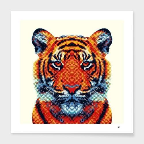 Tiger - Colorful Animals  Frame