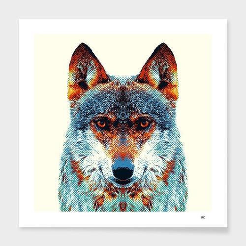 Wolf - Colorful Animals  Frame