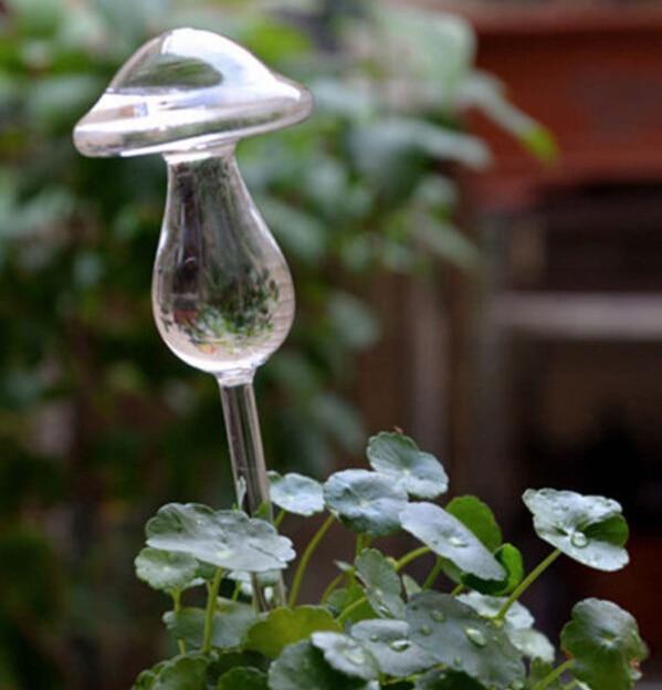 Self-Watering Plant Bulb