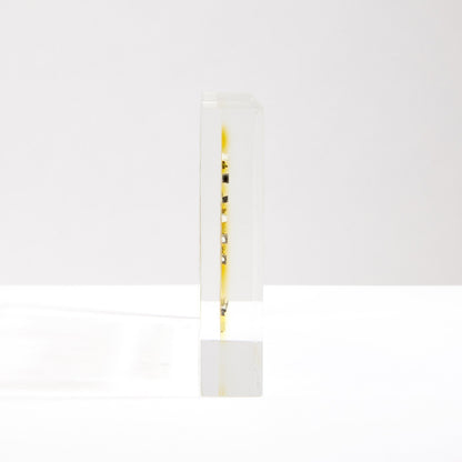 Periodic Table Real Elements Display