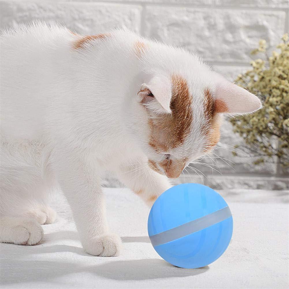 Pet Motion Ball