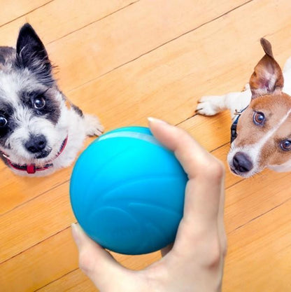 Pet Motion Ball