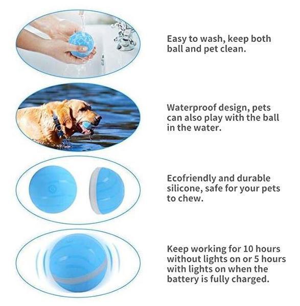 Pet Motion Ball