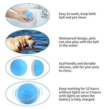 Pet Motion Ball