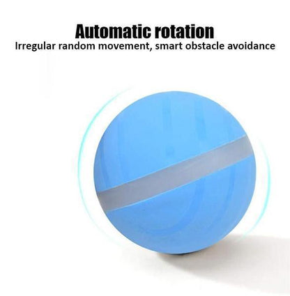 Pet Motion Ball