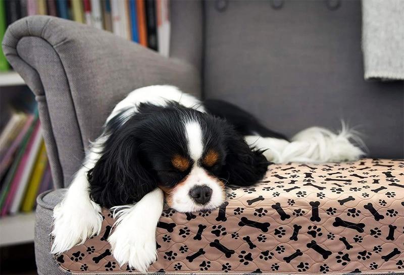 Reusable Dog Pee Mat