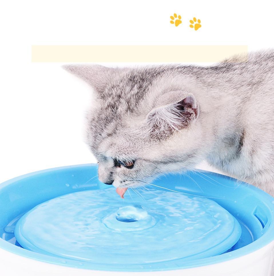 Pet Water Fountain