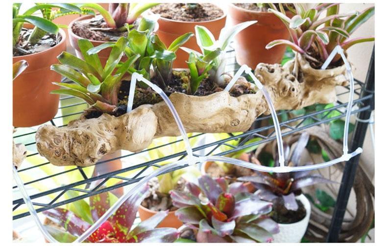 Watering System