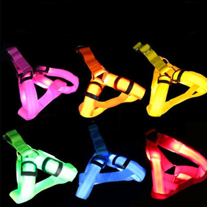 LED Dog Harness